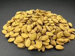 تخمه محبوبی زرد