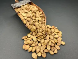 تخمه محبوبی سفید