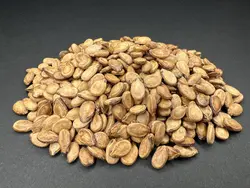 تخمه محبوبی سفید