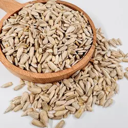 مغز تخمه آفتابگردان خام