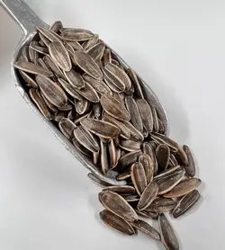 تخمه گل آفتابگردان خام اعلا