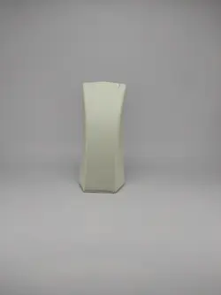 مانکن گوشواره مدالی