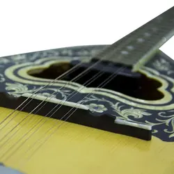 بوزوکی برند مات سیکاس