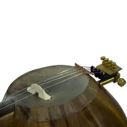 کمانچه حرفه‌ای میلاد مرادی طرح 2