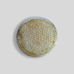 عسل مومدار خود بافت