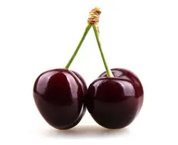 آلبالو
