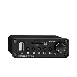مینی آمپلی فایر تندر Thunder TE-32 - آراساند