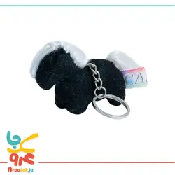 کاسپی جاکلیدی