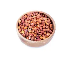 مغز بادام کوهی شور