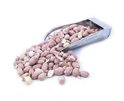 بادام زمینی آستانه