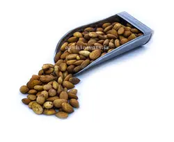 مغز هسته زردآلو شور