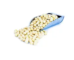 نخود چی خام