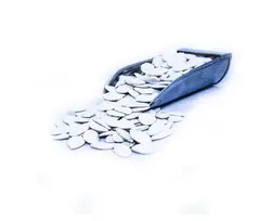 تخمه کدو مرمری خام