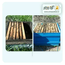 سیستم کندوی هوشمند زنبورعسل قابل کنترل با موبایل