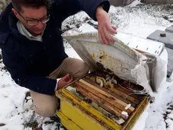 سیستم کندوی هوشمند زنبورعسل قابل کنترل با موبایل