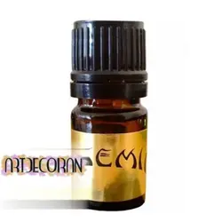 عطر ادکلن الکیمیا پرفیومز د وایلد آتلانتیک وی | Alkemia Perfumes The Wild Atlantic Way - آرت دکو ایران