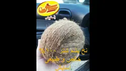 نخ پشم طبیعی شتر 100درصد خالص آسایش (100گرمی)