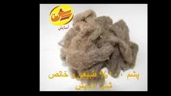 پشم شتر 100درصد طبیعی و خالص آسایش (100گرمی)