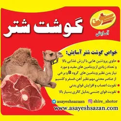 گوشت شتر با استخوان آسایش | تولید و عرضه بهداشتی گوشت شتر لخم و با استخوان