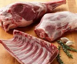 فروش عمده گوشت شتر