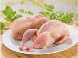 بلدرچین پاک شده