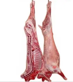 شقه گوسفندی