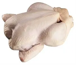 گوشت بوقلمون