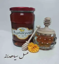خرید عسل سیاهدانه و فرفیون