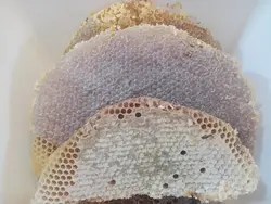 عسل سبدی خالص