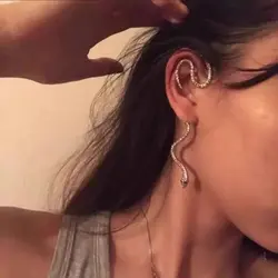 ایرکاف مار نگینی