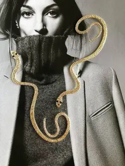 ایرکاف مار نگینی