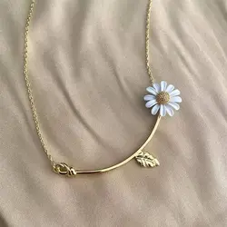 ست کامل بابونه