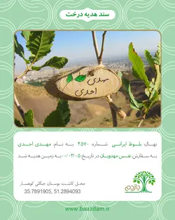 بلوط ایرانی