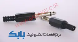 فیش میکروفن پلاستیکی
