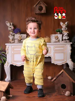 سرهمی چهار فصل روباه