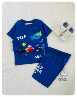 ست آکواریوم کد NB985