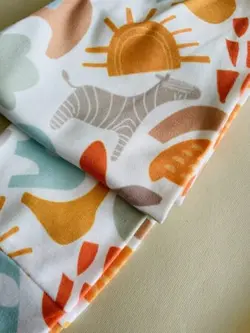 ست  خواهر و برادری