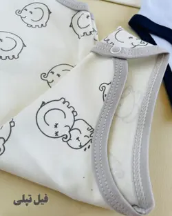 زیردکمه رکابی