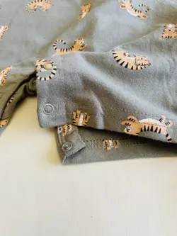 رامپر تایگر