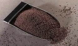 بارهنگ شایلی