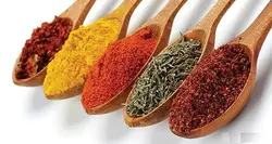 بارهنگ شایلی