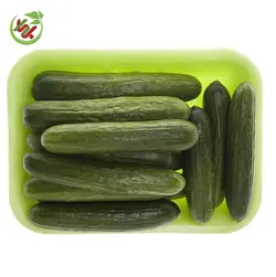 خیار گلخانه ای اعلا