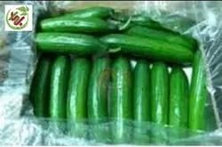 خیار گلخانه ای اعلا