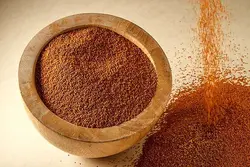 خاکشیر شایلی