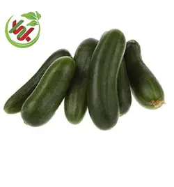 خیار بوته ای ممتاز