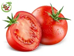 گوجه فرنگی