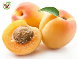 زردآلو