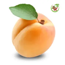 زردآلو
