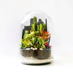 تراریوم فلکسی 20*15