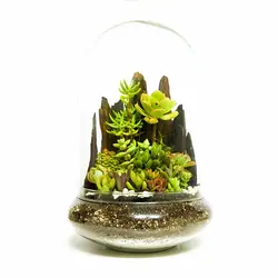 تراریوم فلکسی 30*21